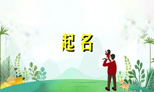 书单起名字情感有哪些