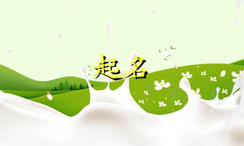 响亮的起名宜用字有哪些