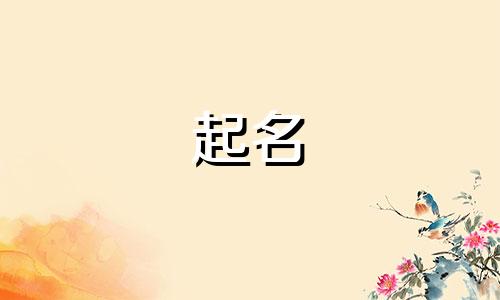 起名响亮的字有哪些名字