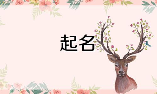 情侣id起名小程序有哪些