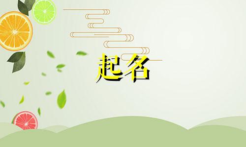 宝宝起名的书籍有哪些名字