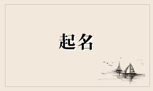 公司起名有哪些好听的