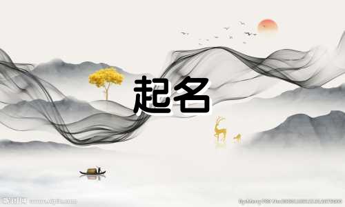 域名的起名标准有哪些