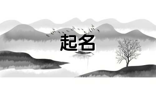 柳州起名创意大师有哪些