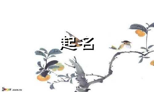 小孩起名哪些字女孩好