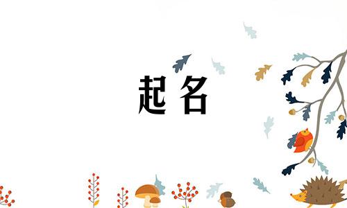 店铺创意起名软件有哪些