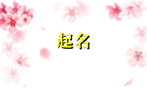 给孩子起名读哪些书籍