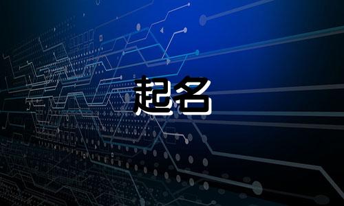 成立公司起名规则有哪些