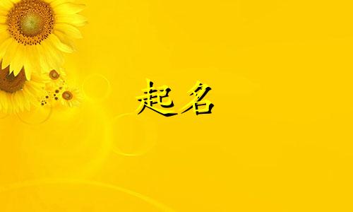 起名要顾及哪些字好听