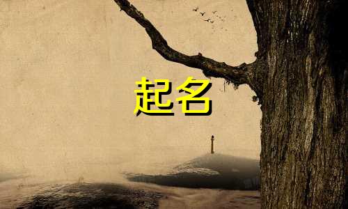 公司起名测试软件有哪些