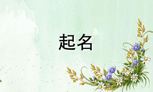 明星名字起名原因有哪些