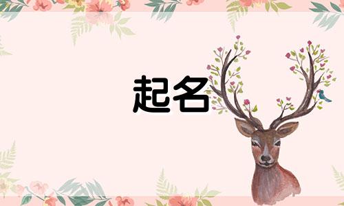 富婆起名用字有哪些好听