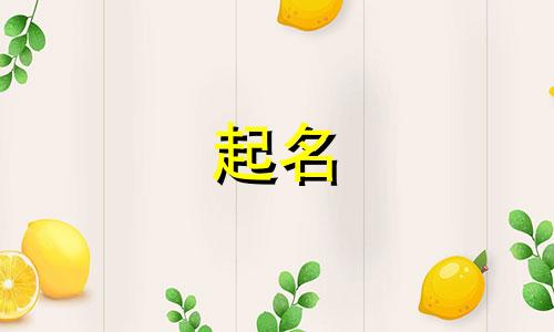 起名接单网站有哪些好