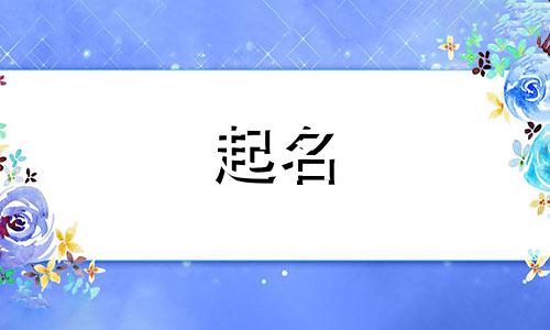 怎样起名软件有哪些名字