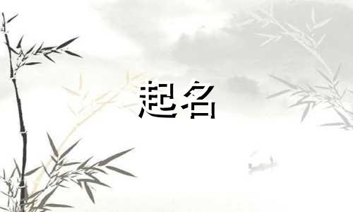 熊猫起名规律有哪些内容