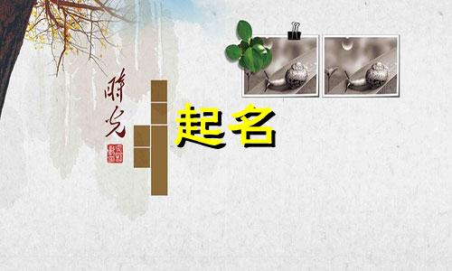 甜点店起名讲究哪些东西