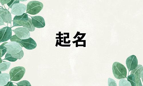 房子起名后缀有哪些字母