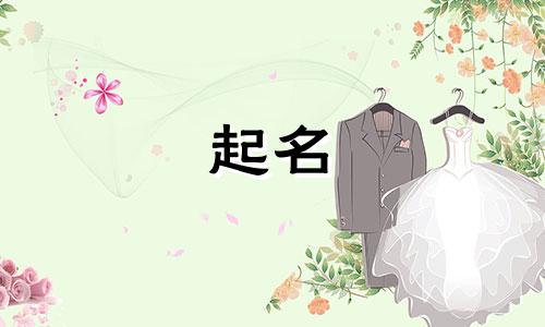 兔年正月起名好字有哪些