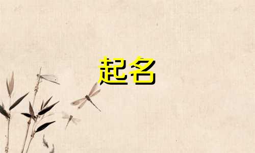 宠物食物起名法则有哪些