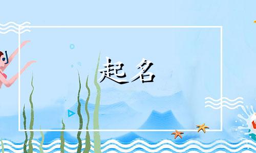 商家起名小程序有哪些