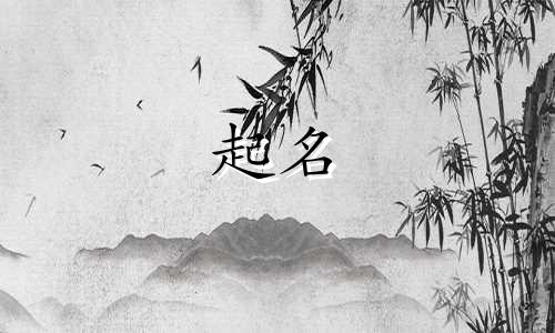 玉林有哪些起名公司好听