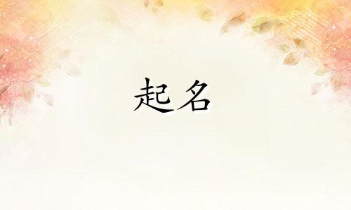 女孩起名维族名字有哪些