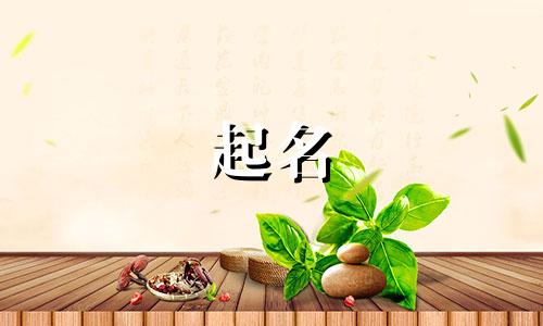 模仿鲁迅起名的人有哪些