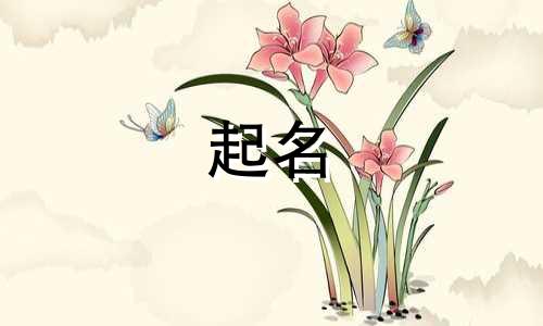 属猴女孩起名用哪些字起名比较好