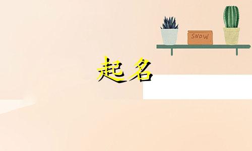 正月十五起名字宜用哪些字起名