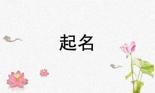 金字旁男宝起名一般用哪些字起名