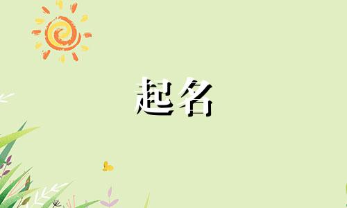 姓氏起名最多的字有哪些