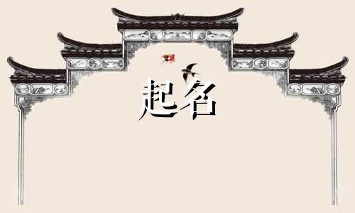 起名失误的品牌有哪些名称