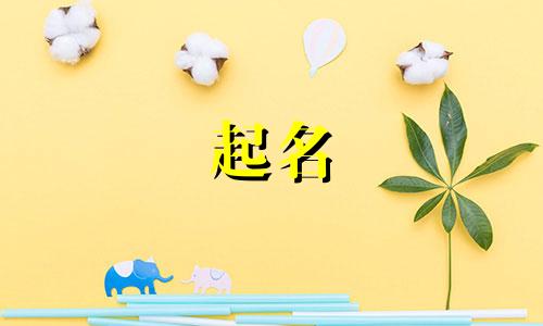 当前网红起名有哪些名字