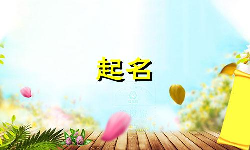 男女起名字不能带哪些