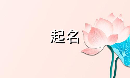 给宠物起名的方式有哪些