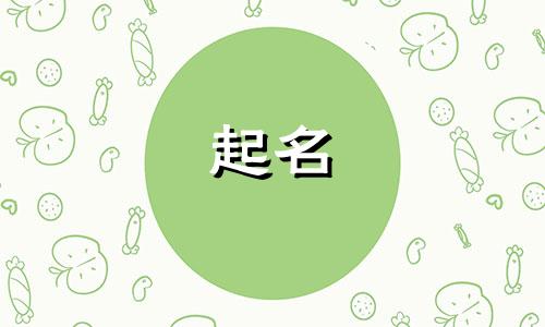 松子食品起名的有哪些名字