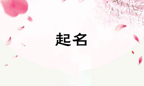 装修施工起名字有哪些