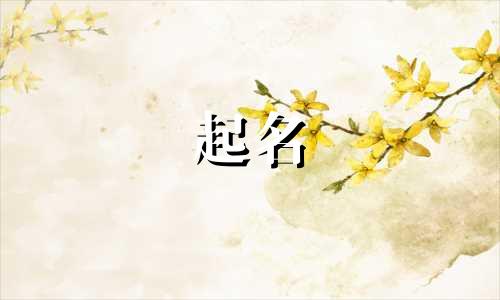 为小程序起名规则有哪些