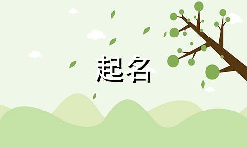 以半夏起名的药名有哪些