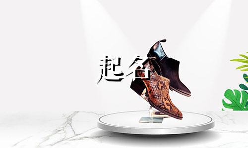 父母起名字软件有哪些