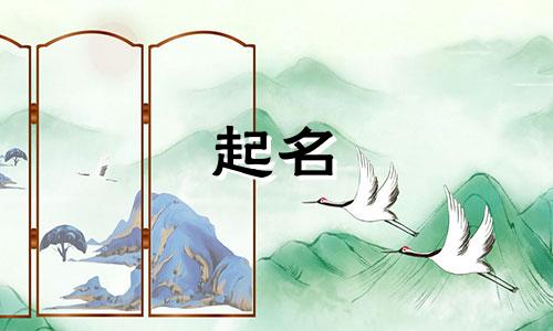 美国商标起名规律有哪些