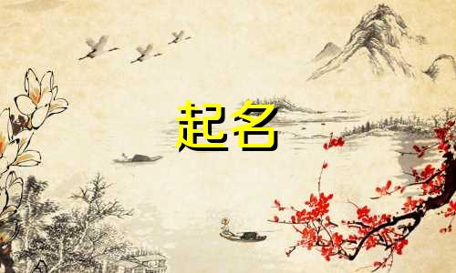 起名很特别的字有哪些