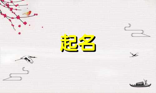 起名很随意的地方有哪些