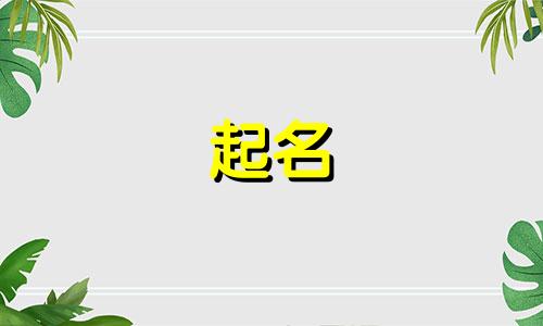 虎年宝宝适合用哪些字起名