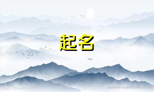 食物起名字软件有哪些