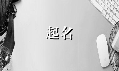 直播公司起名网站有哪些