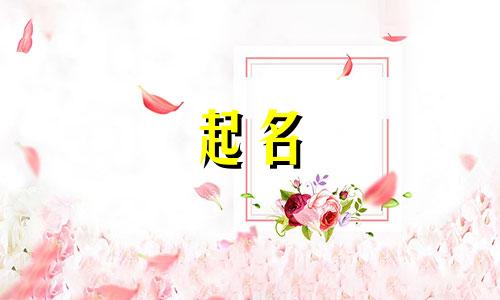 起名毛不易的歌有哪些