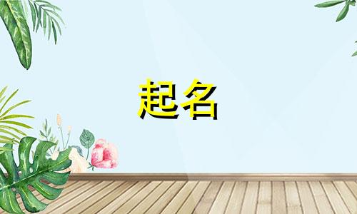 公司起名涵盖哪些信息部门