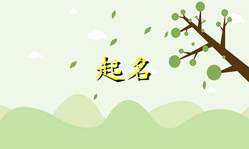 公司起名要注意哪些方面