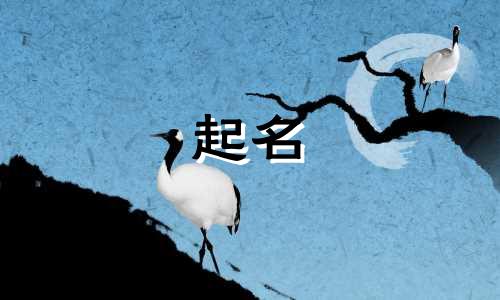 甄嬛传起名都有哪些字体